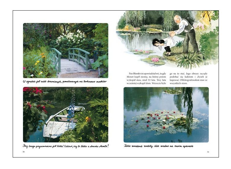 Linea w ogrodzie Moneta