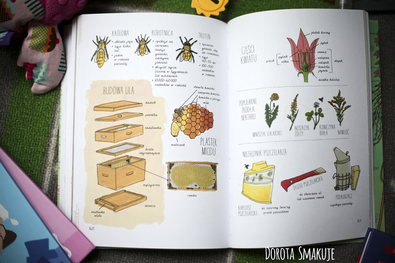anatomia_farmy