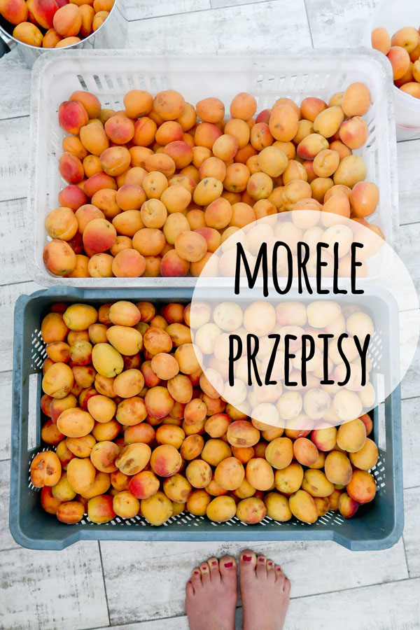 morele_przepisy morele_przepisy