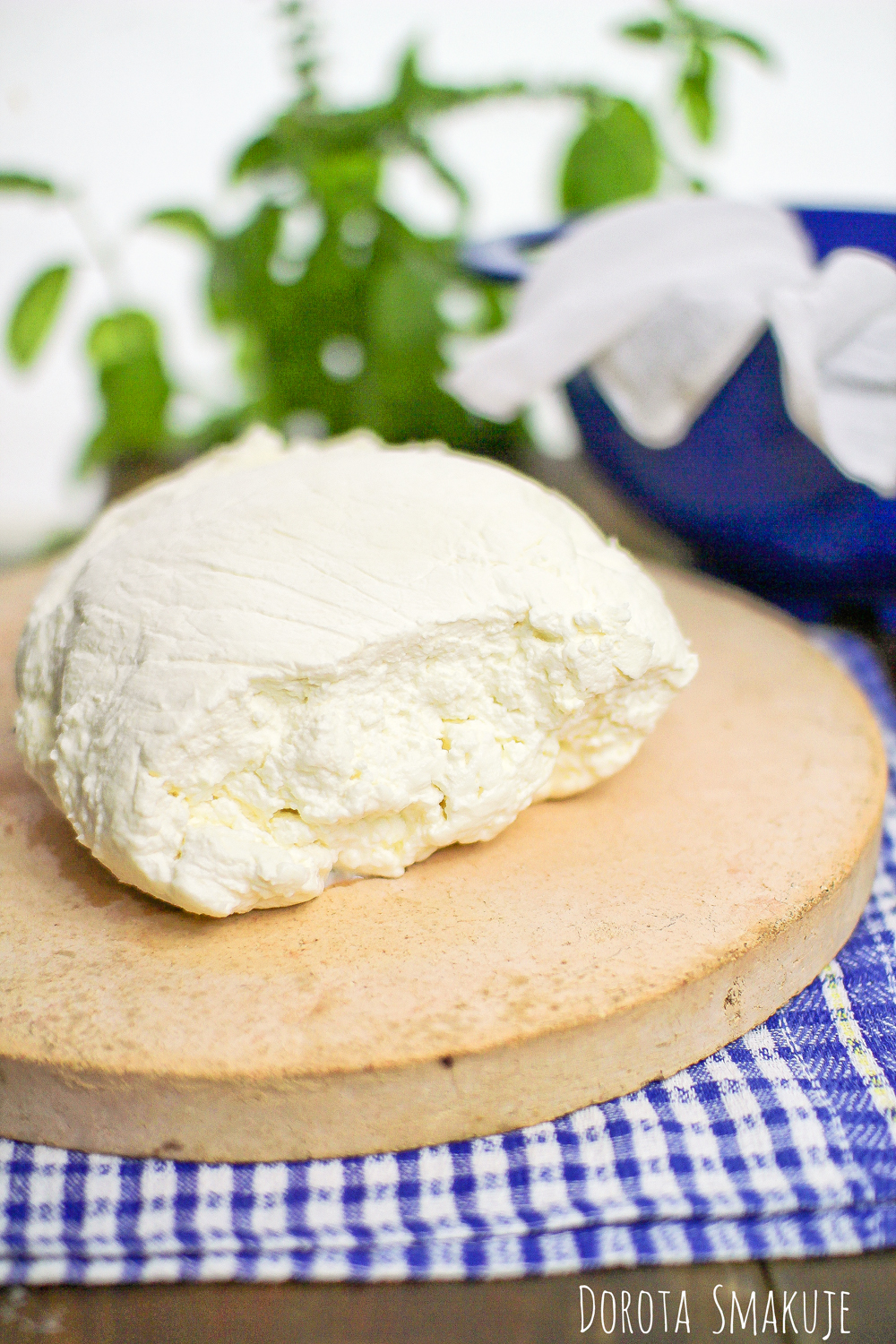 Jak zrobić ser biały twaróg
