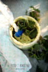 pesto z pokrzywy